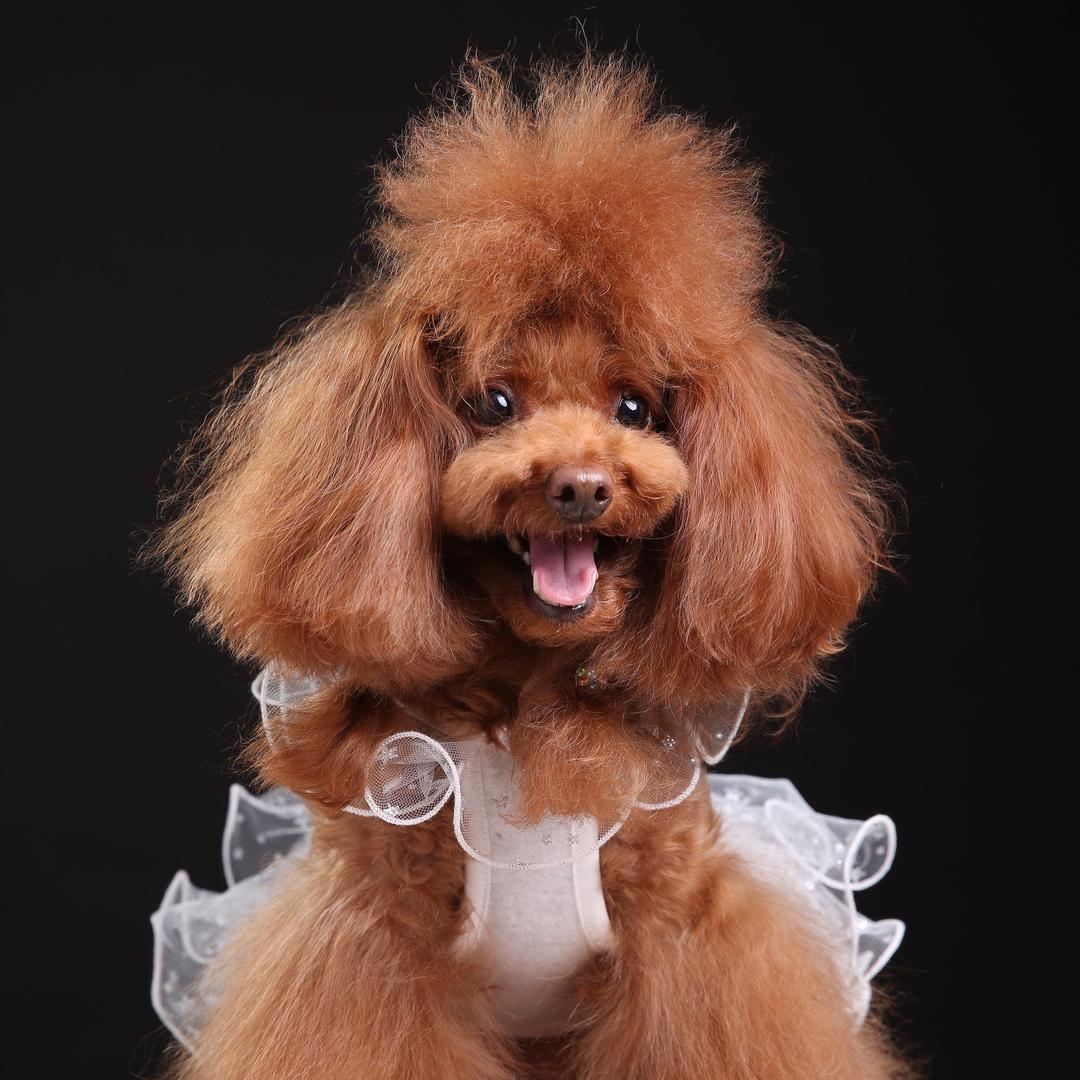 开心小宝贝@抖音