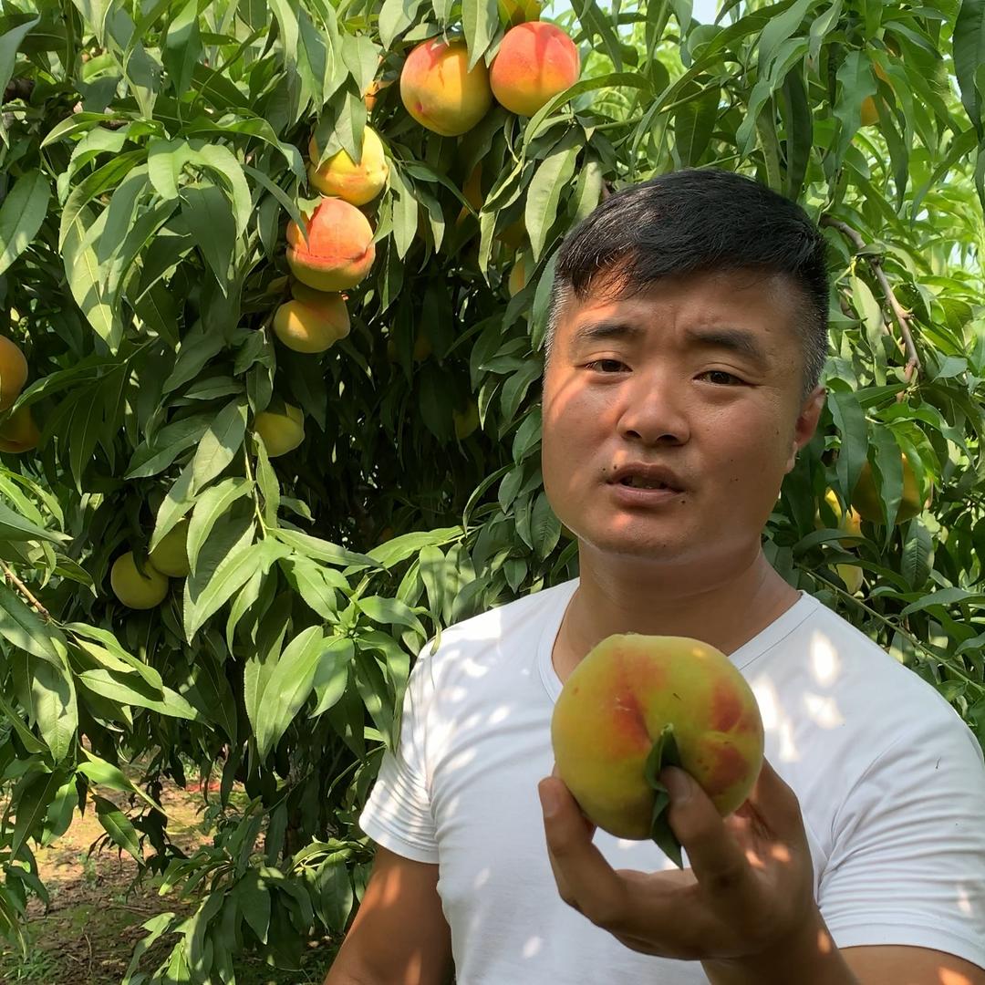 硕丽鲜果商行
