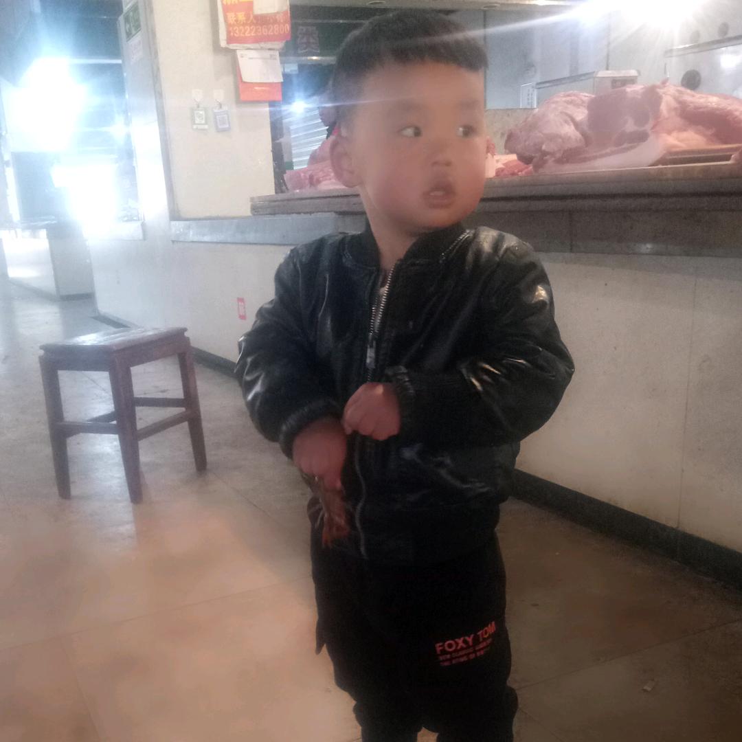 琴儿