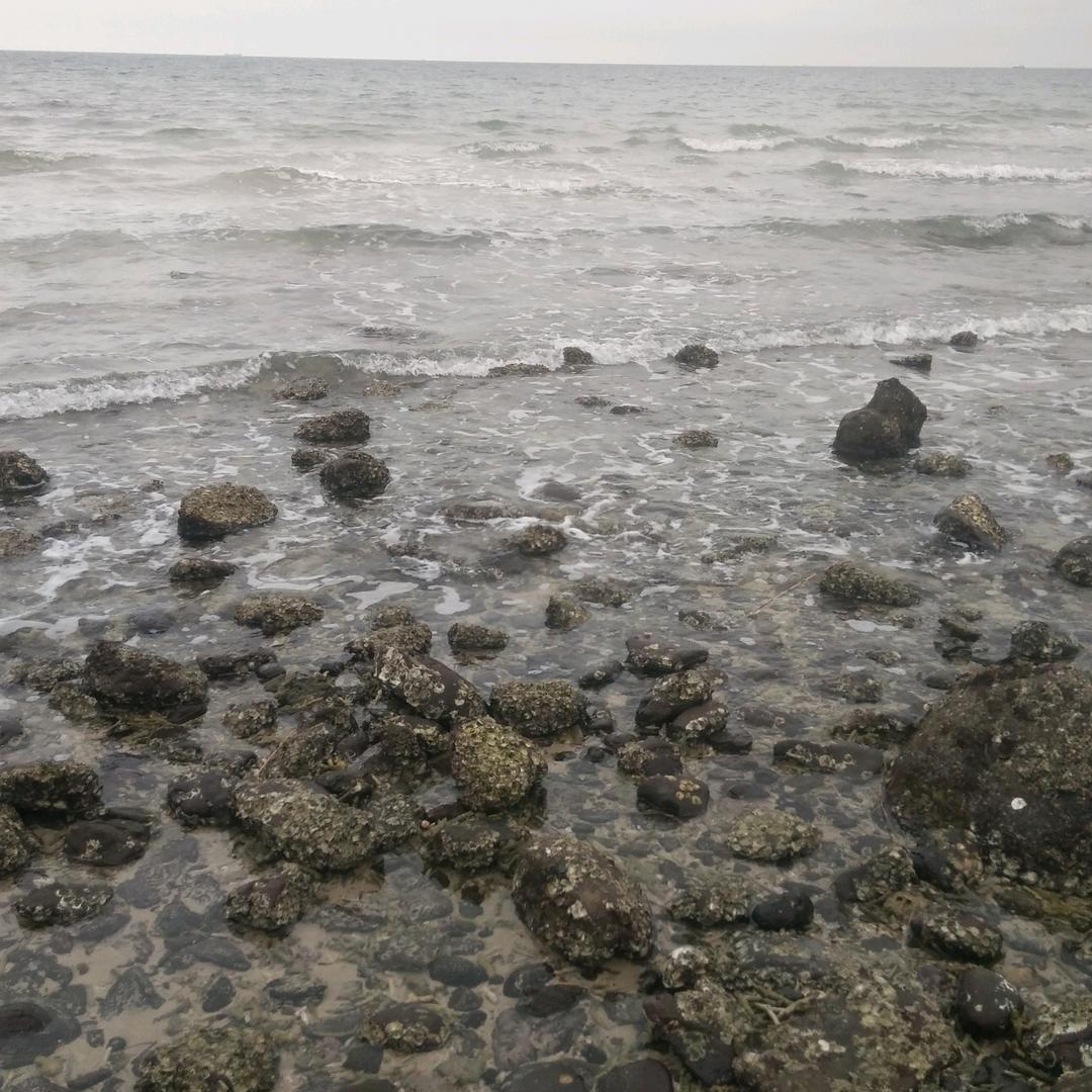 *^O^*逍遥北少*^_^*