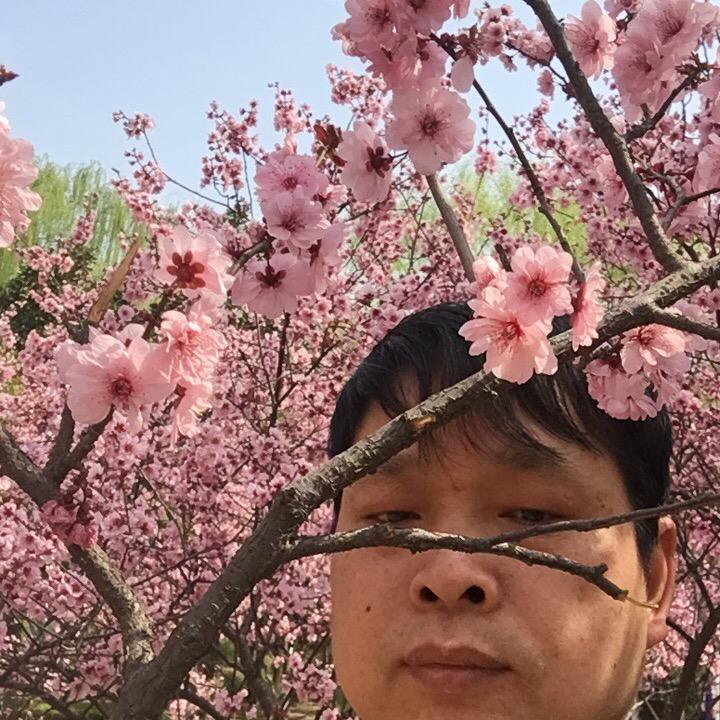 风雨无阻