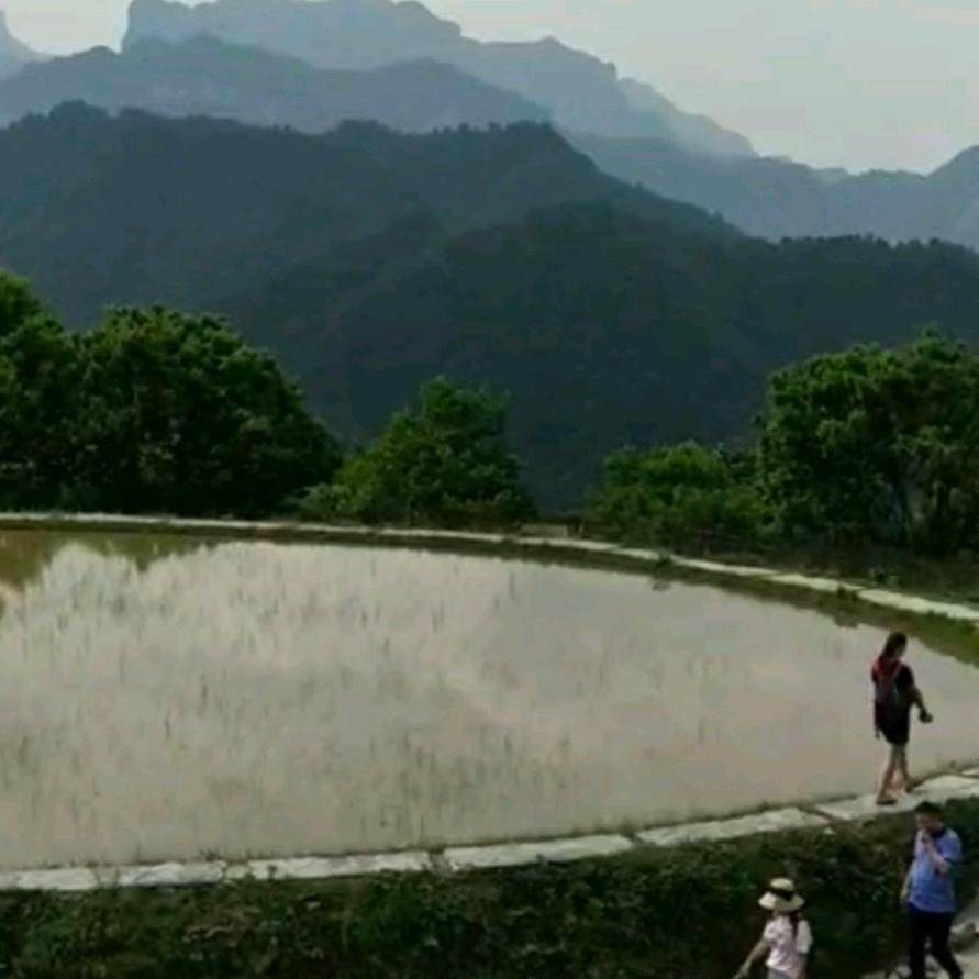 无心可好