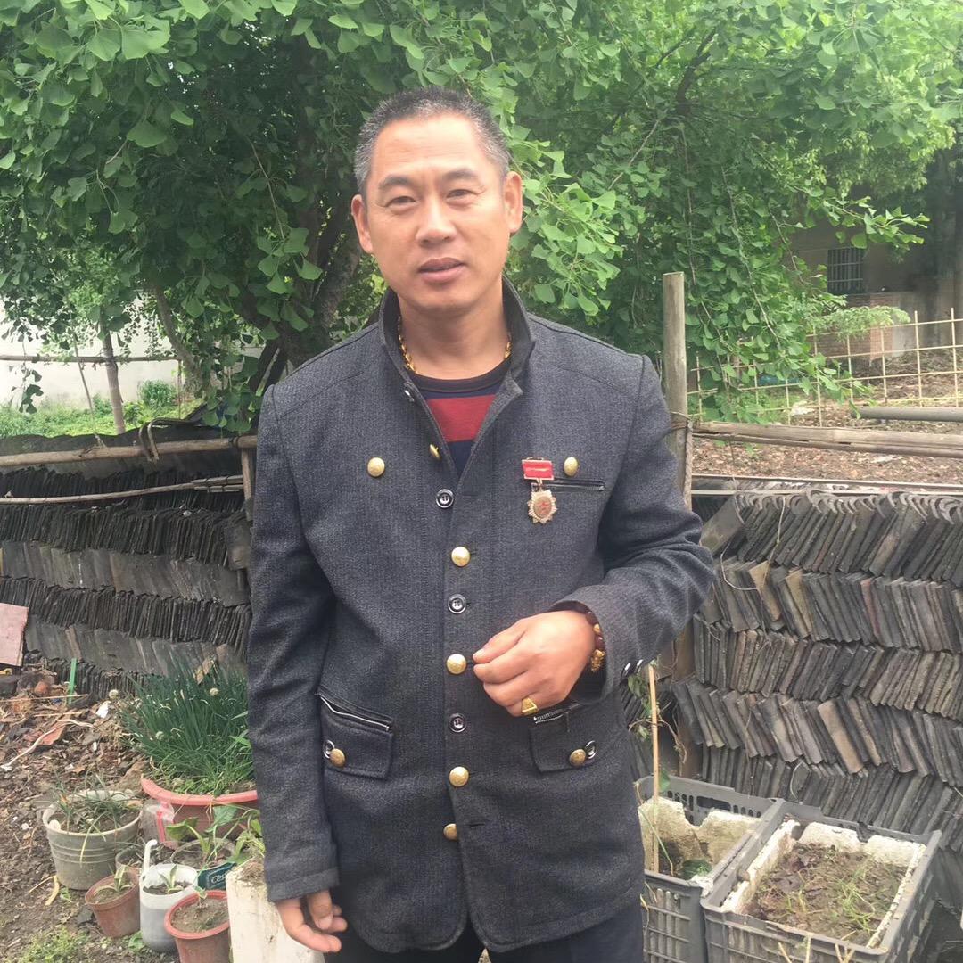 曹情缘