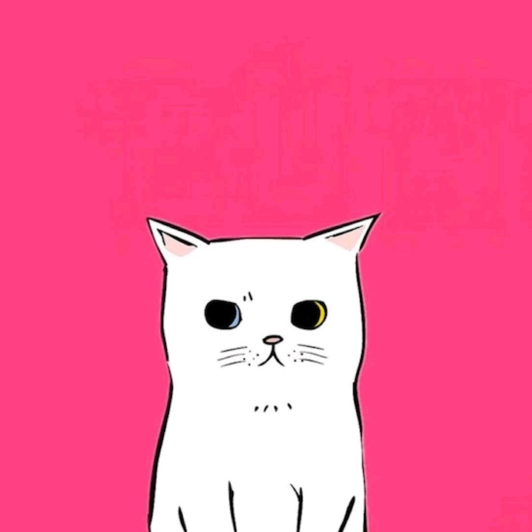 🌈✎﹏๓ふ懒猫儿🌈