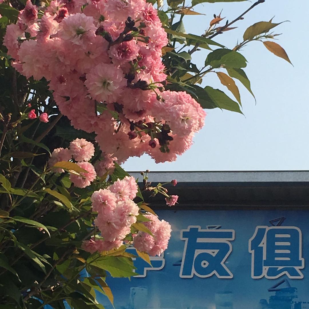 你若安好，我不打扰