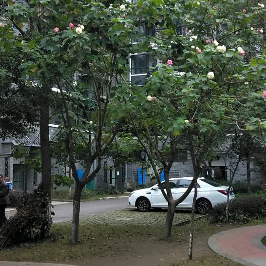 &卓越&