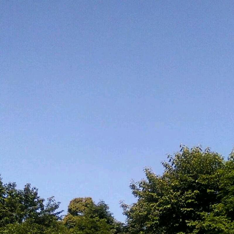 面对现实