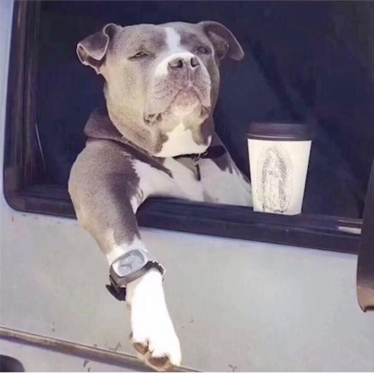 大理众汇二手车-李铁锤