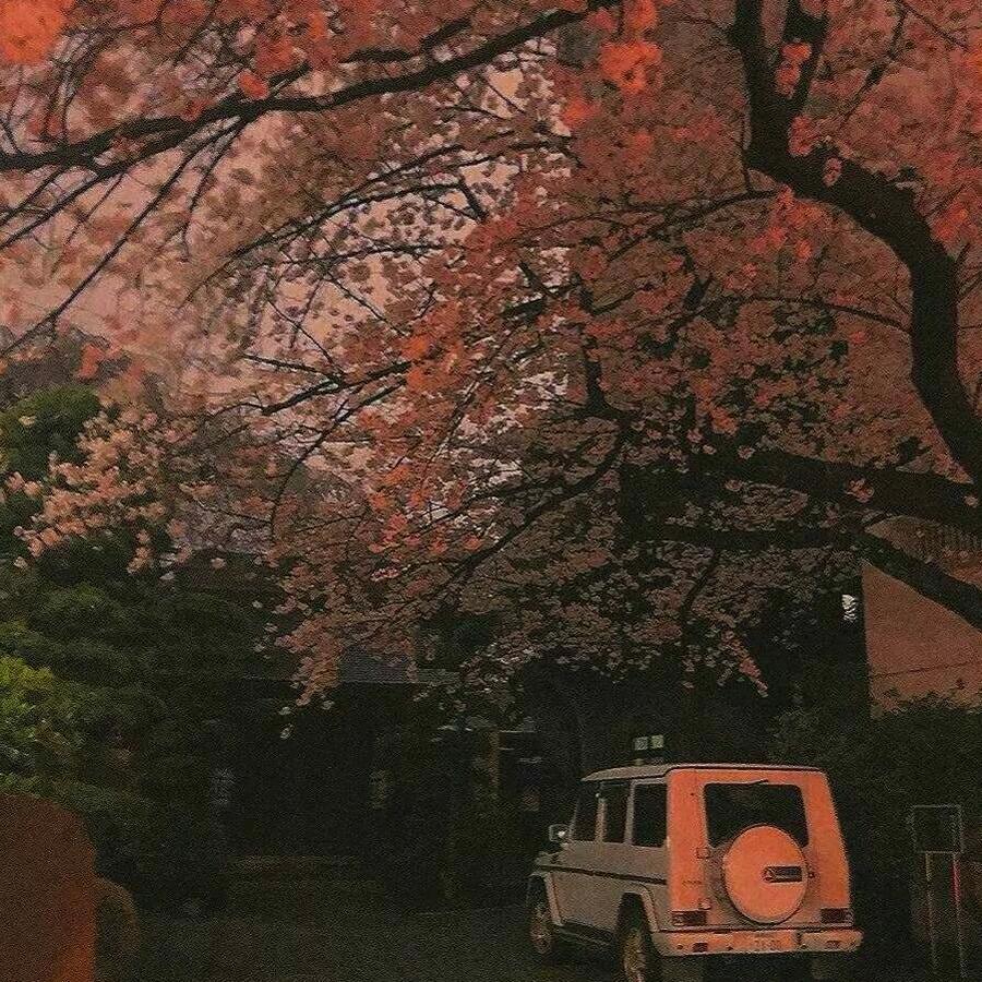 孤影照惊鸿.