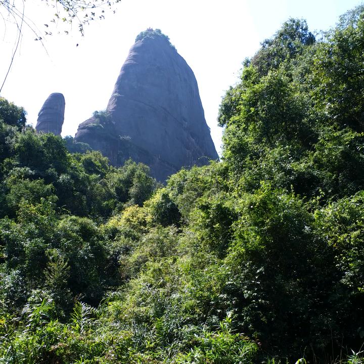 野狼