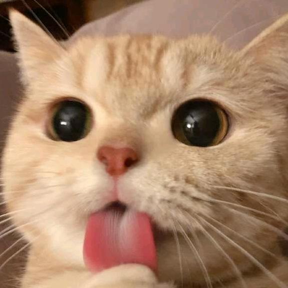 ☁️云卷云舒☁️