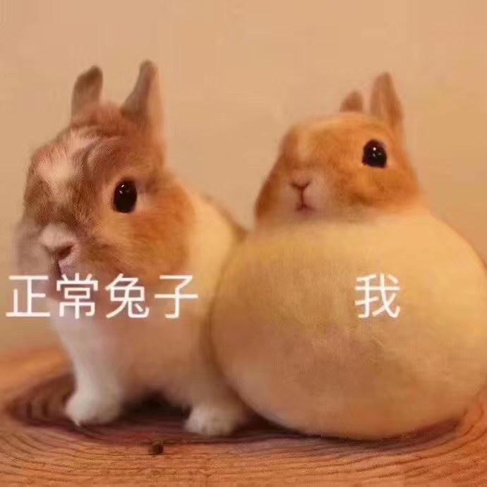 慢慢：