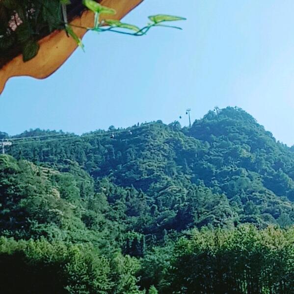 你开心就好