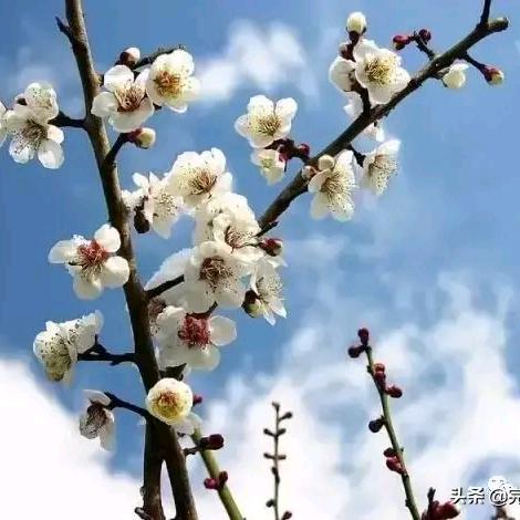 😄雁南飞🎤💿