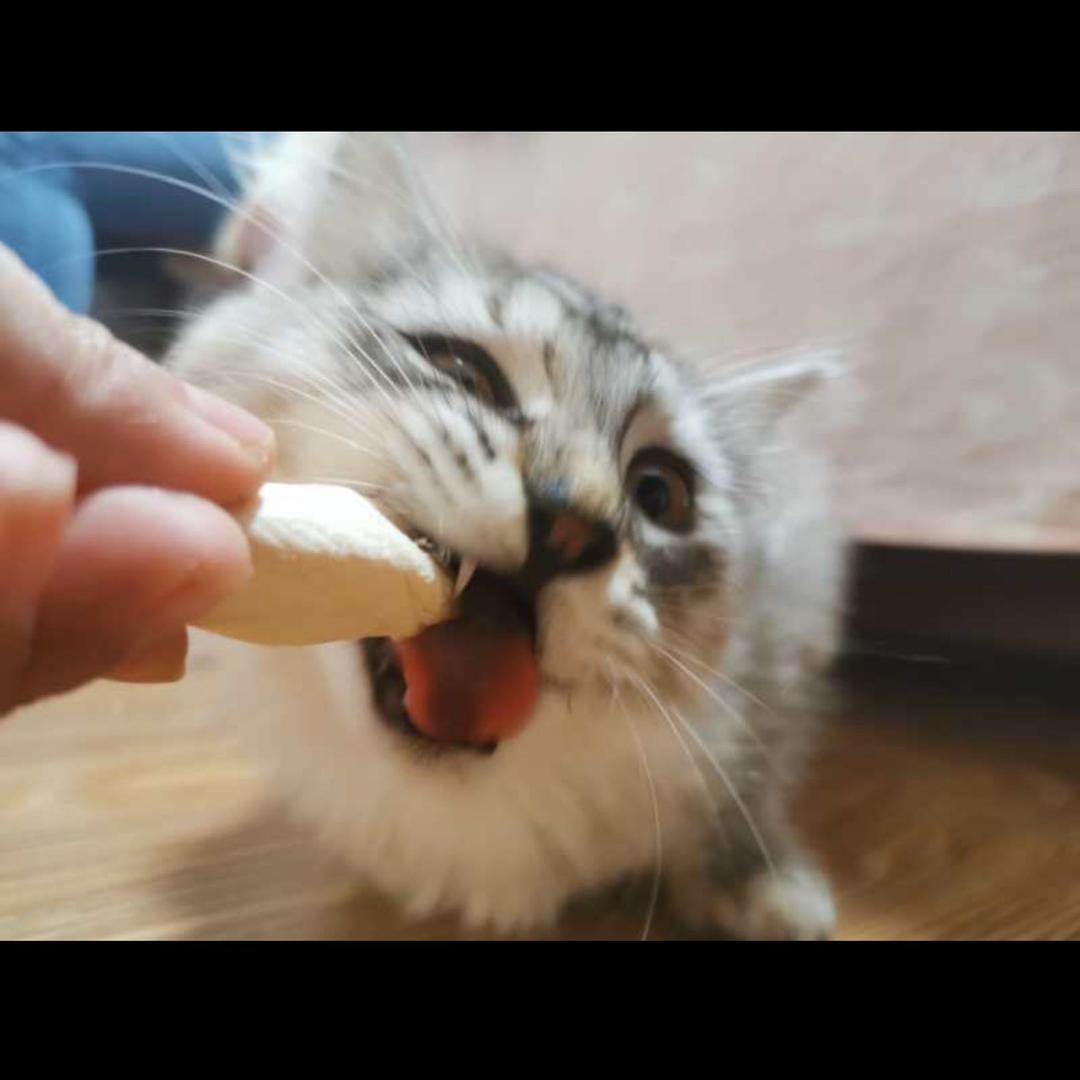 小小w