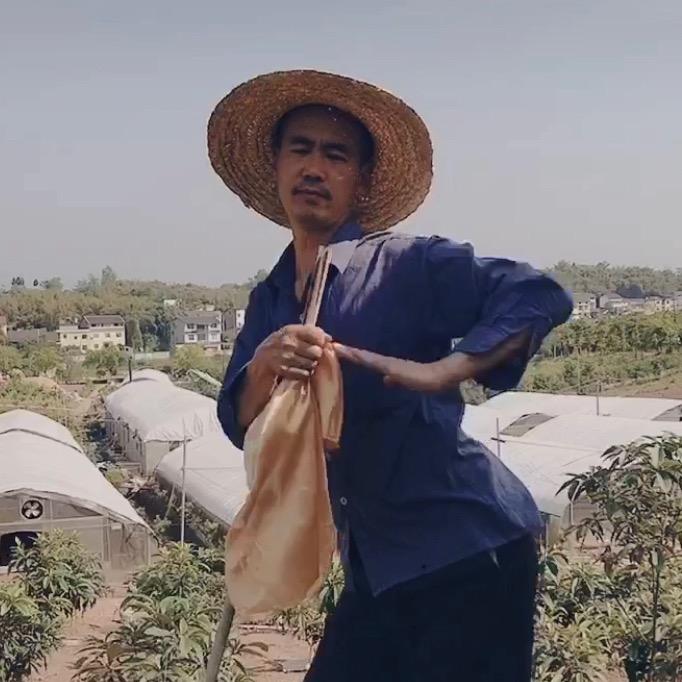 鹅公子李二宝