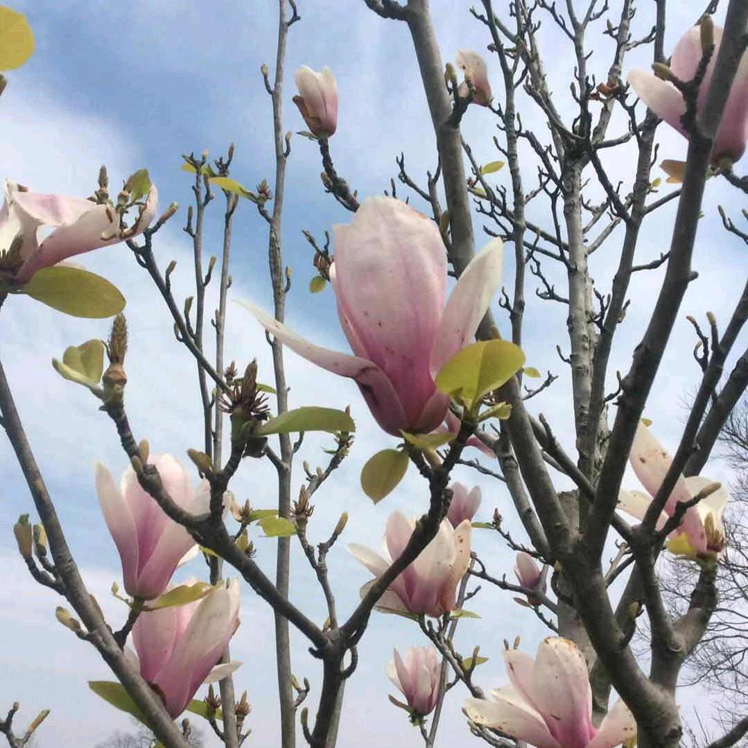 (๑•॒̀ ູ॒•́๑)啦啦啦