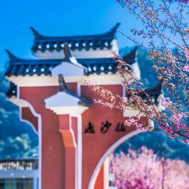 花主任