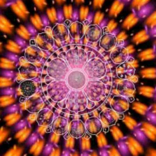 金丝万缕终归尘土👍