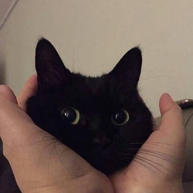 华生