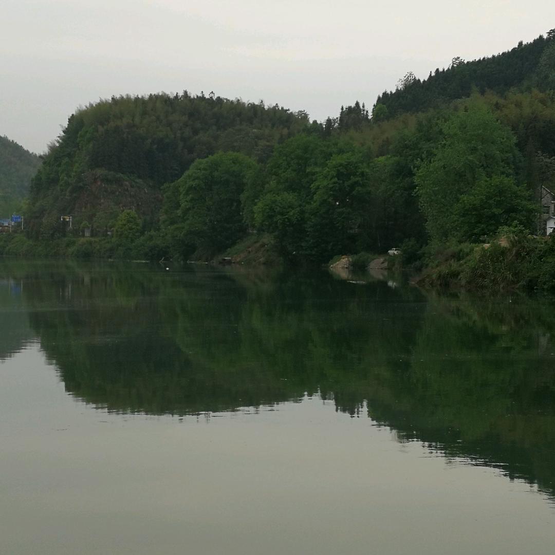 (≧∇≦)/d(ŐдŐ๑)