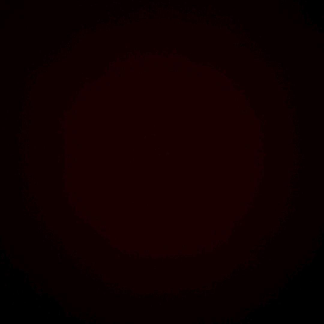 无问 西东