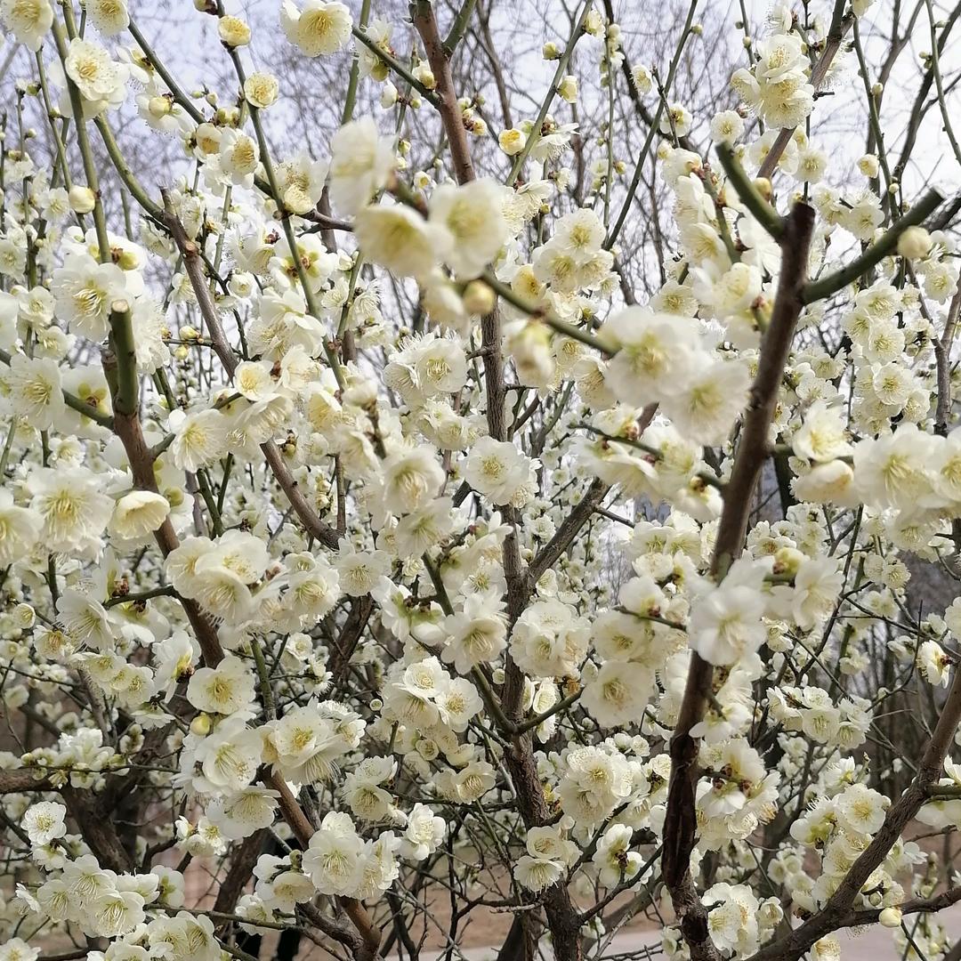 ❤东哥\_🕊️
