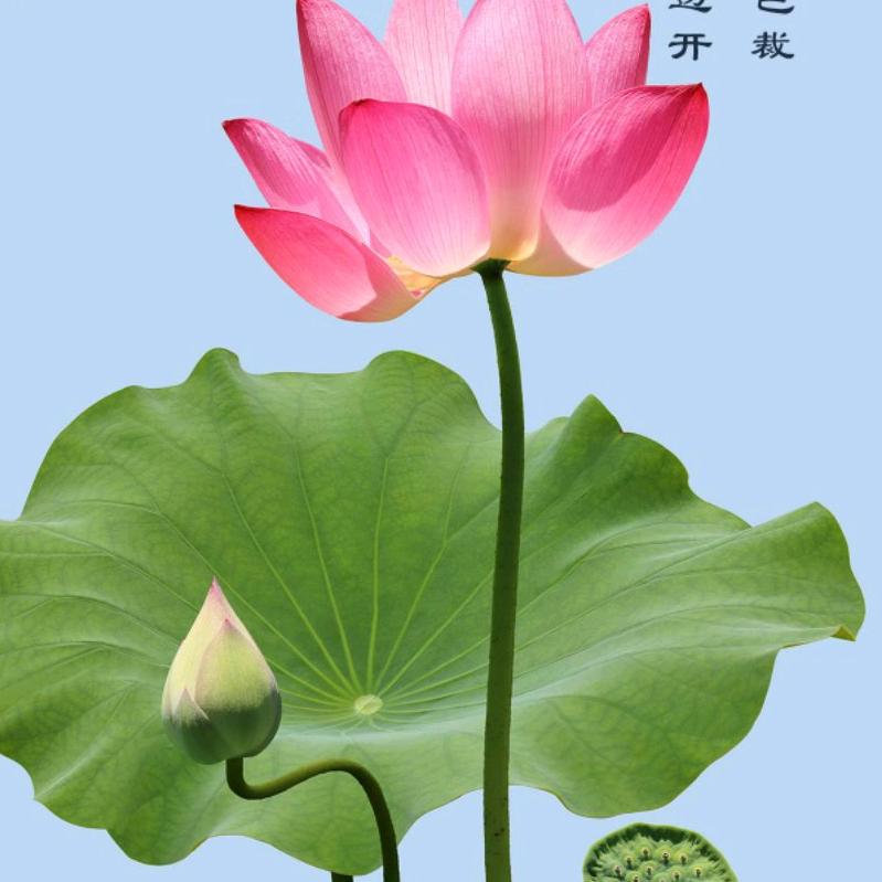 用户137840524