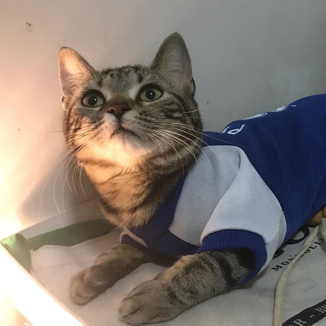 🌈🌈怎么说呢🌈🌈