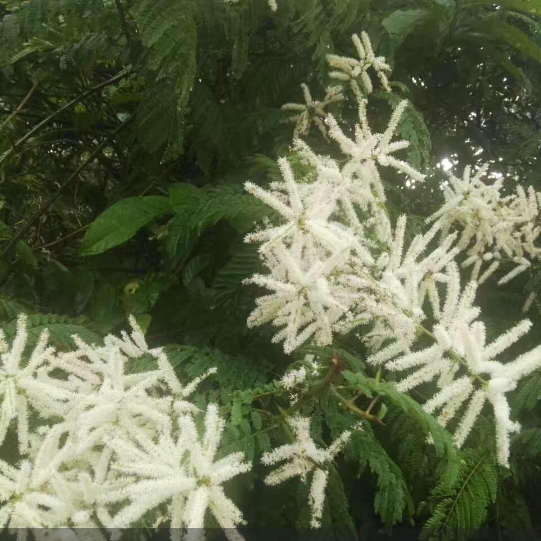 找一个懂我的人，是你吗？