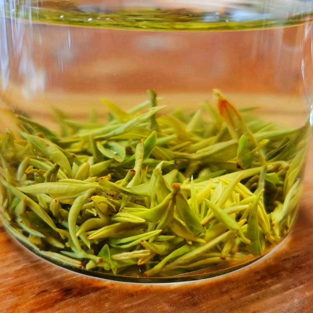 胖胖