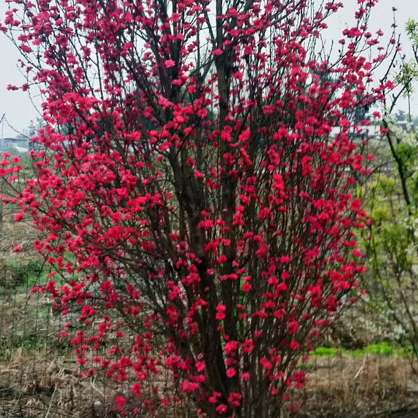 用户4085039717363青云