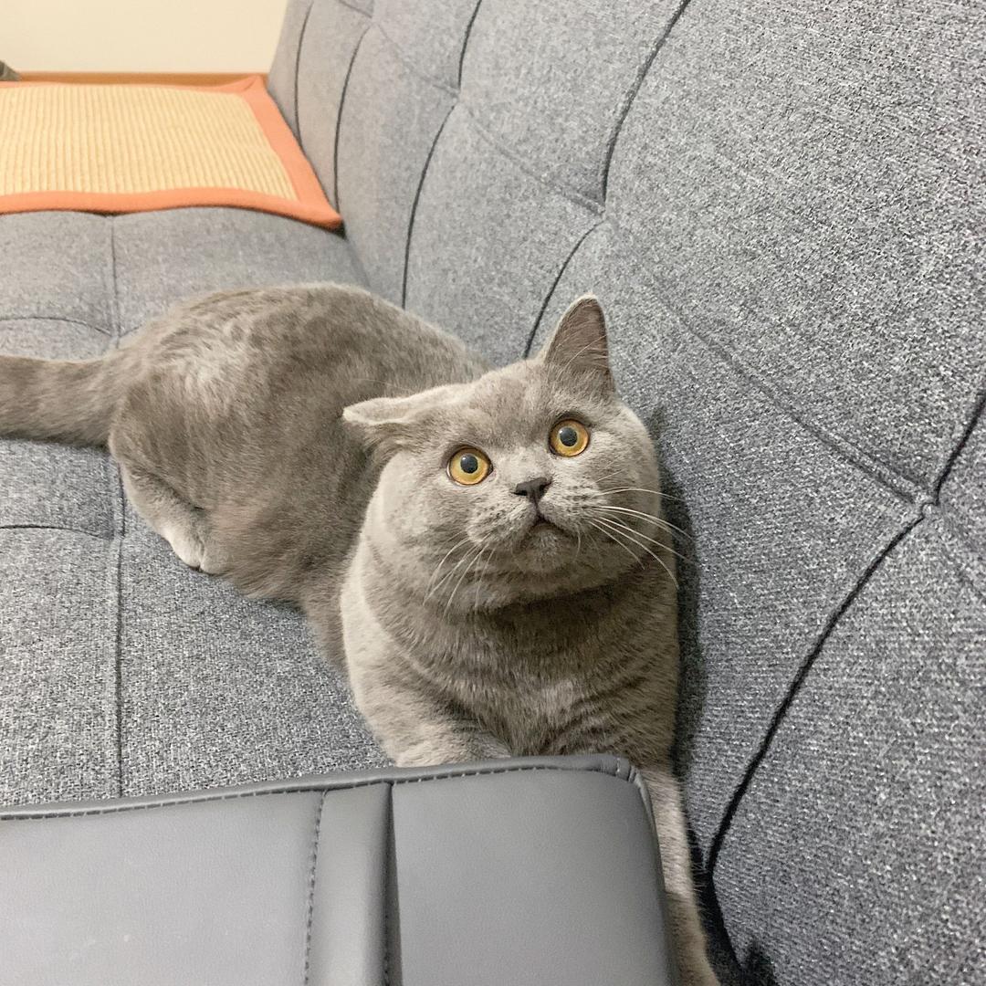 奶茶不爱喝奶茶