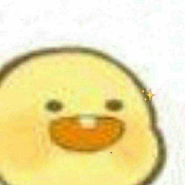 你看是什么