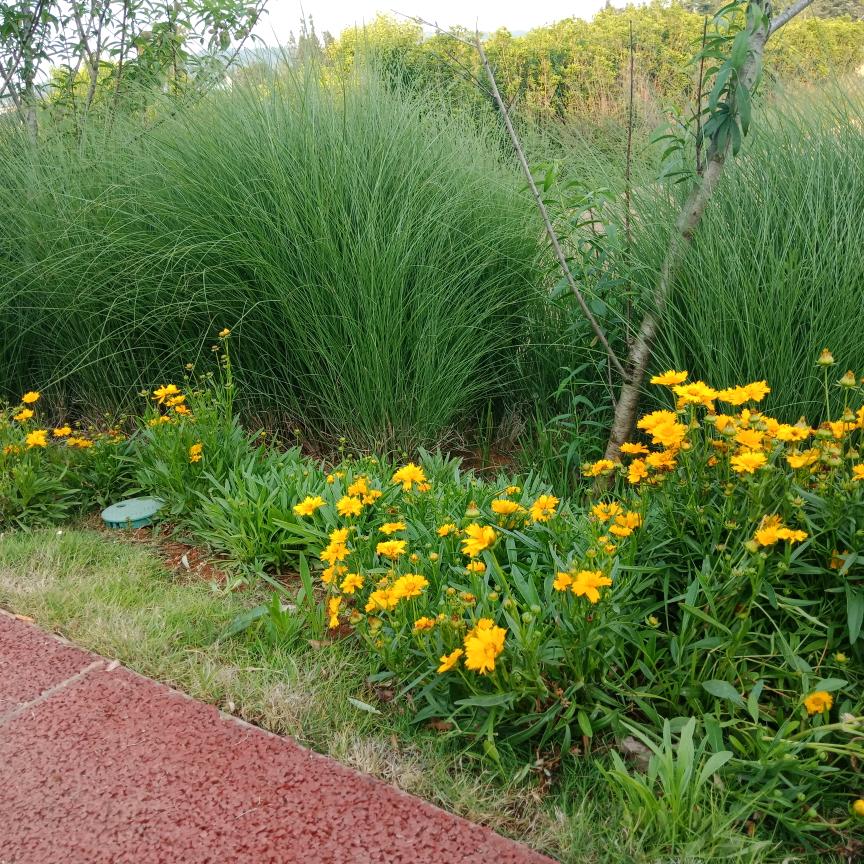 品味冷暖自知的我