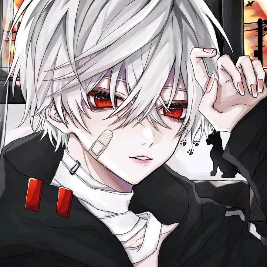 气宇不凡成年累月