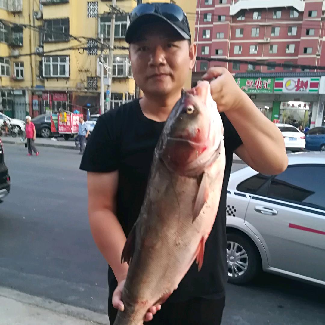 欢喜垂钓