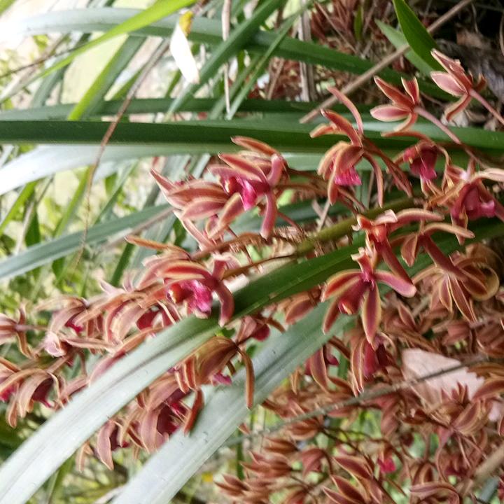 等不是办法干才有希望