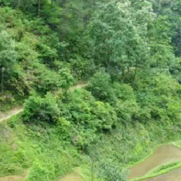 “”鑫融建材“”