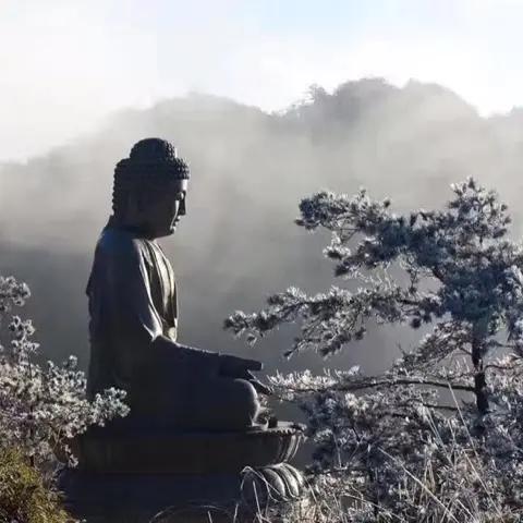 喜刷刷