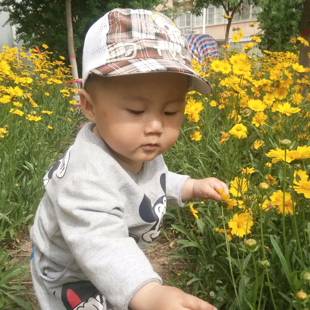 萍姐