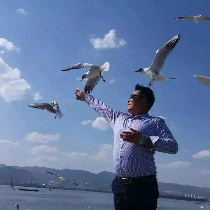 善忘/快乐