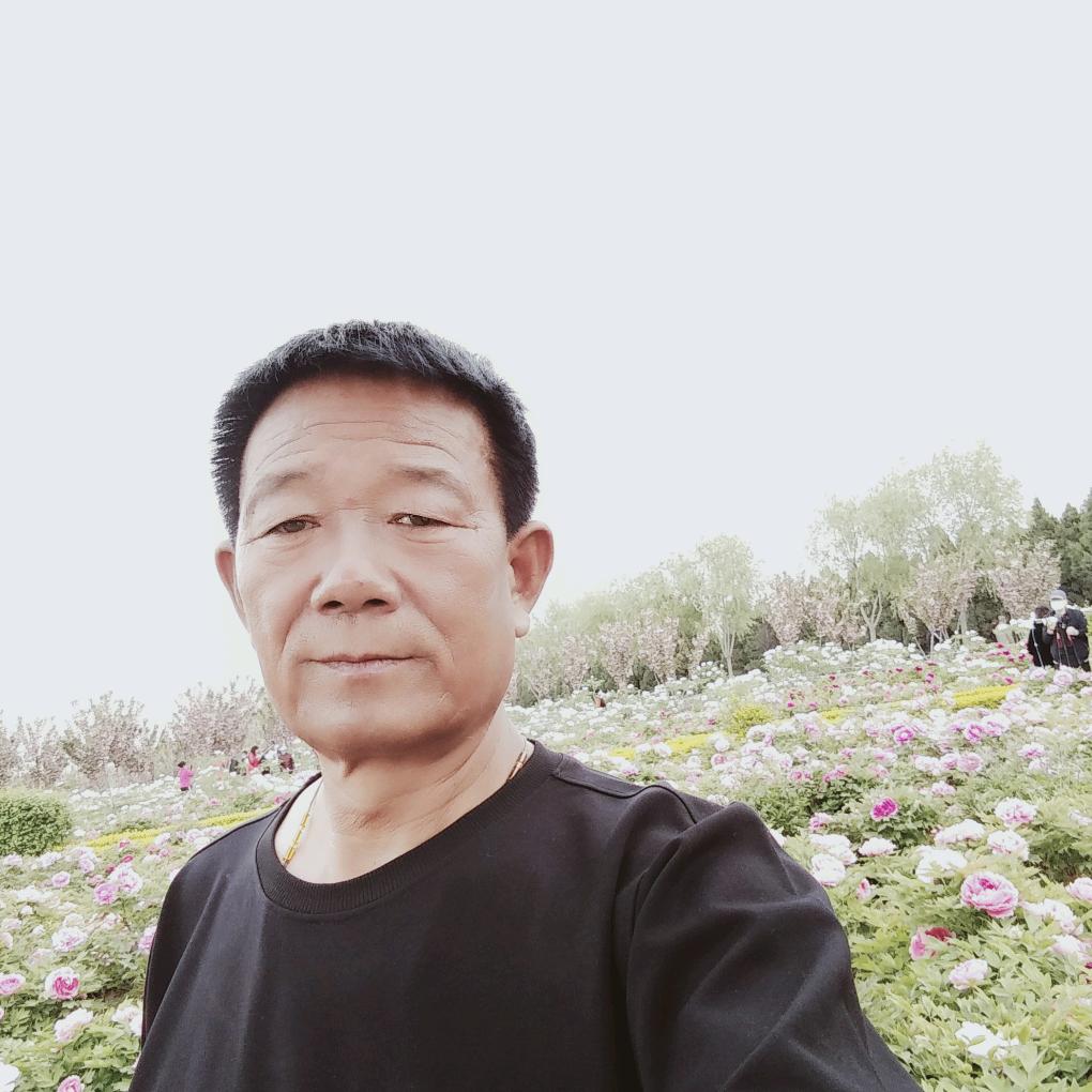 平凡人生服务大众陕西省蒲城党木胡应民