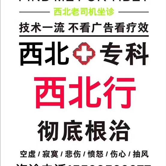 青海李哥