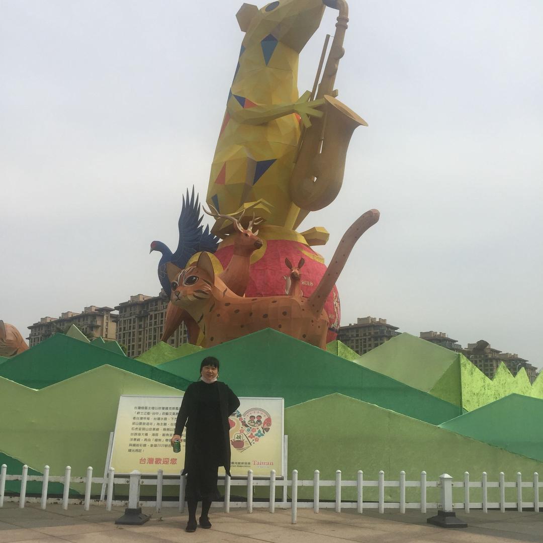 龙宝贝