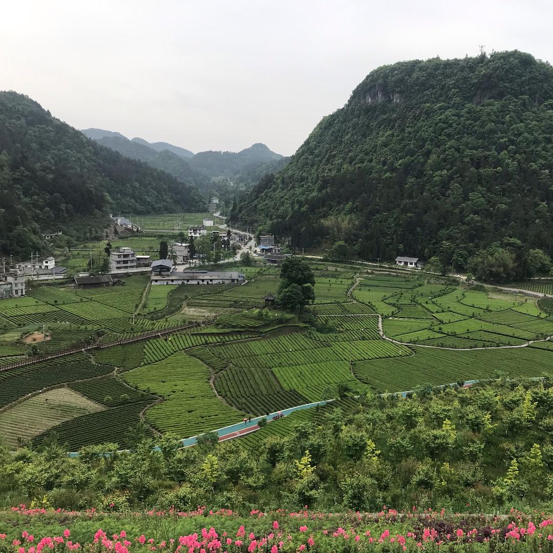 我若不坚强，谁来替我扛