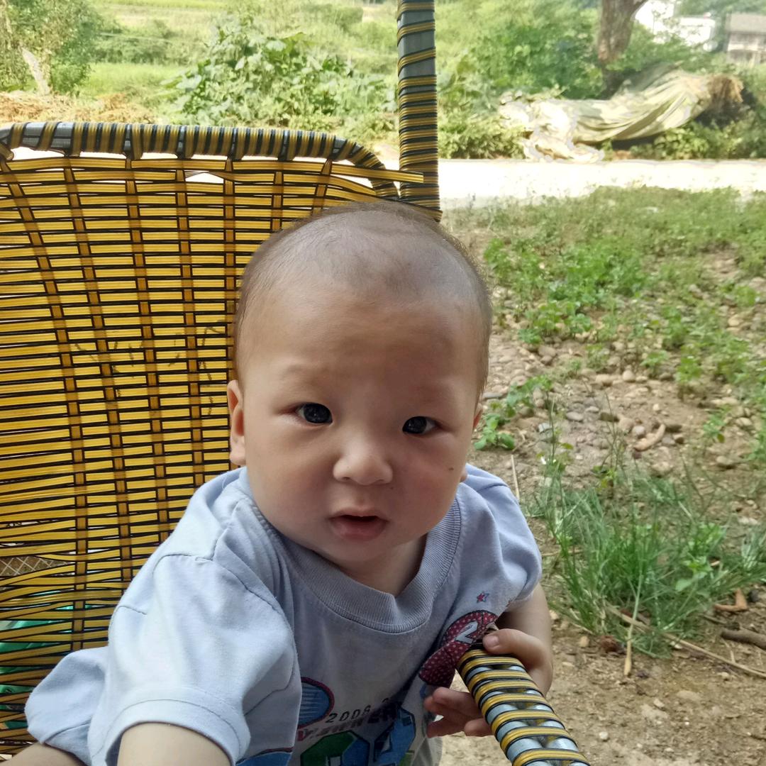 刘香