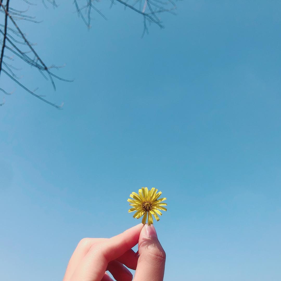 王先生