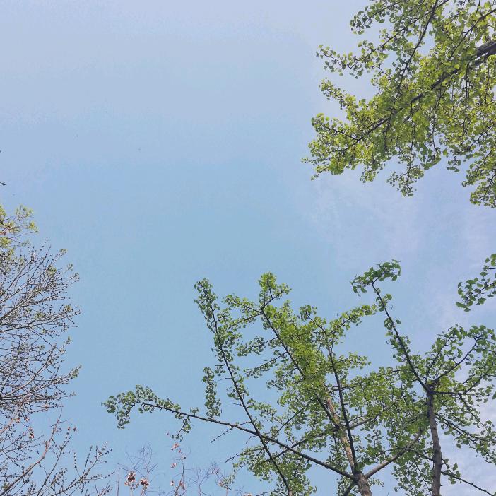 琛蓝