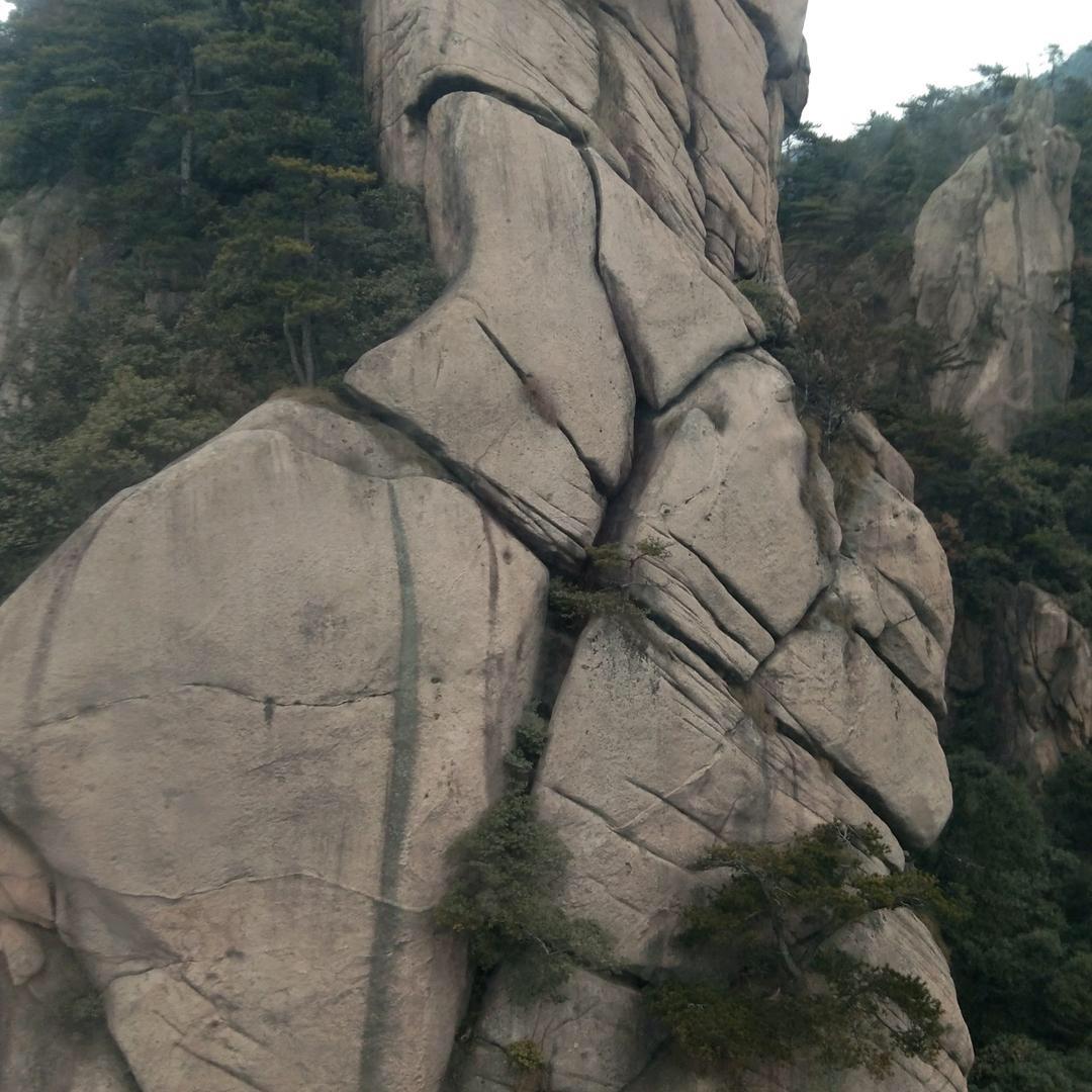 年年有余